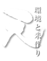 天 - 環境と米作り