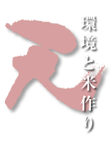 天 - 環境と米作り